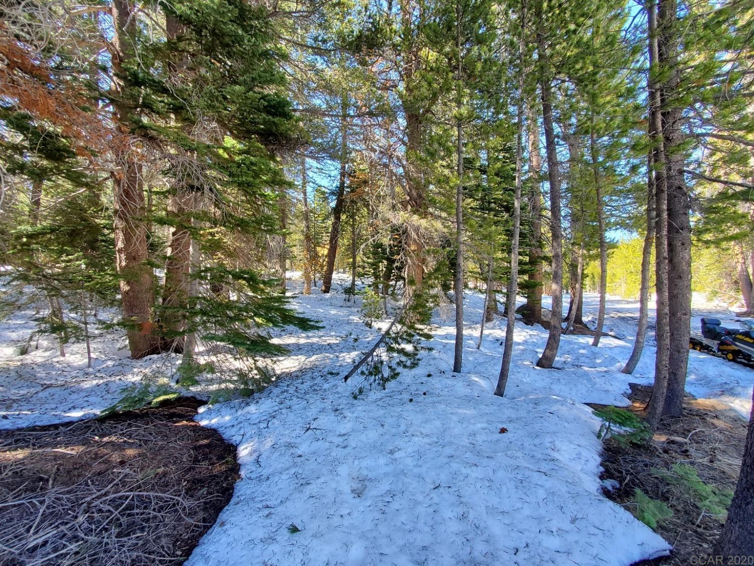 27 Orvis Road Bear Valley, CA 95223 - Photo 1 of 1 Gallery Image 1