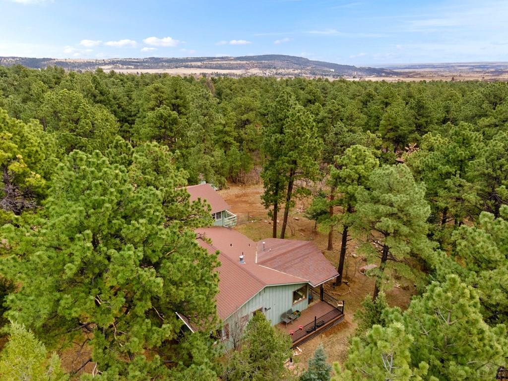 8145 Birch Drive Rye, CO 81069 - Photo 43 of 44