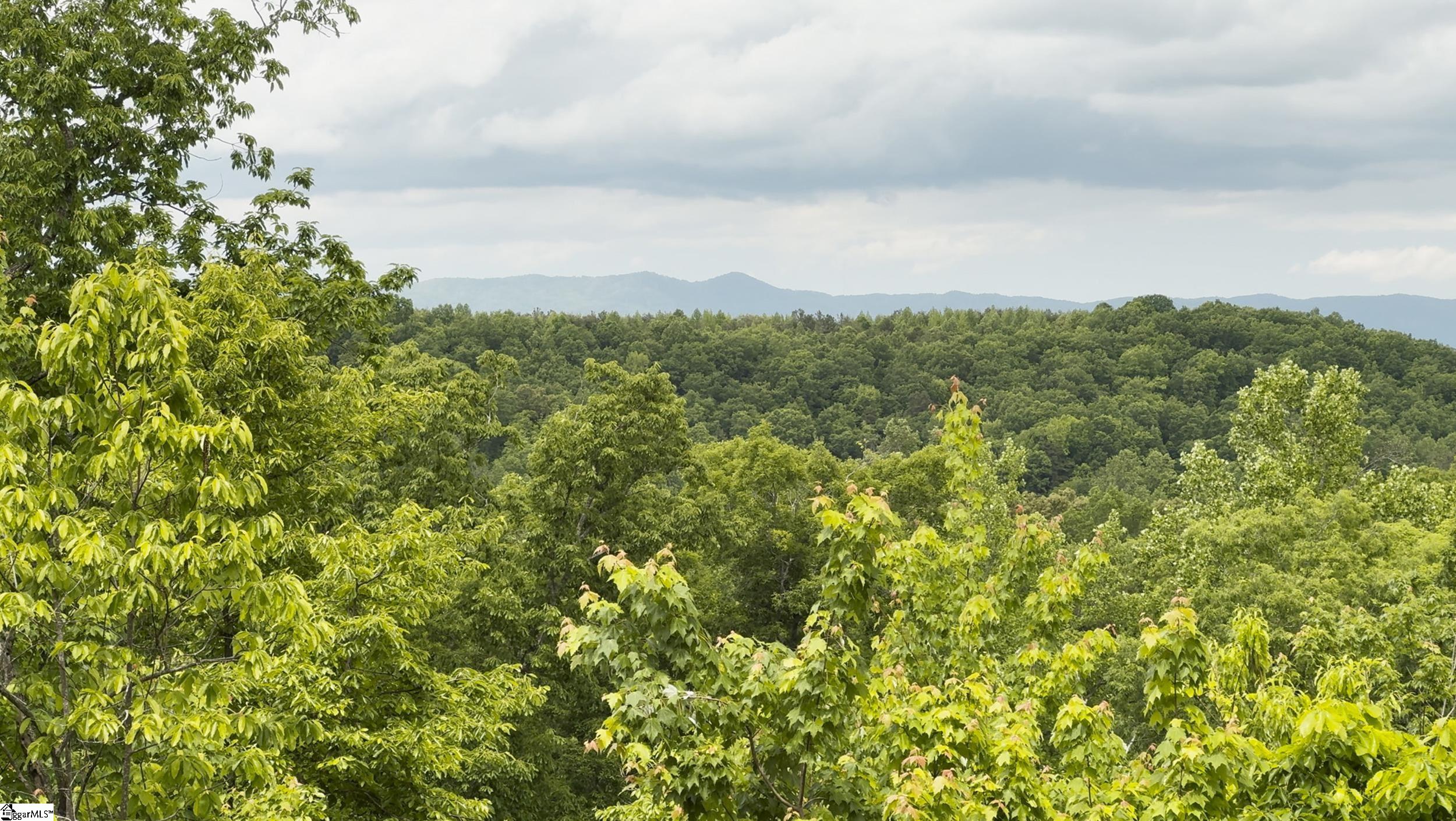296 Long Mountain Road Pickens, SC 29671 - Photo 11 of 29
