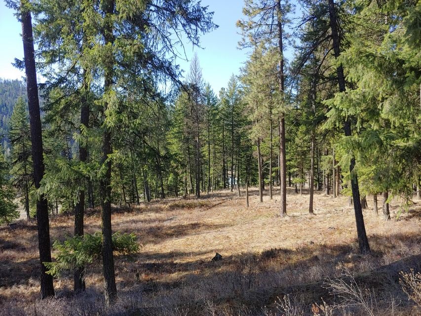 865-c Lot 1 Aladdin Road Colville, WA 99114 - Photo 2 of 4
