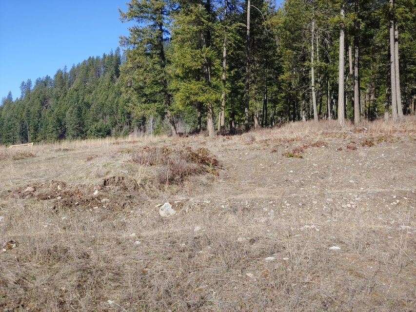 865-c Lot 1 Aladdin Road Colville, WA 99114 - Photo 3 of 4