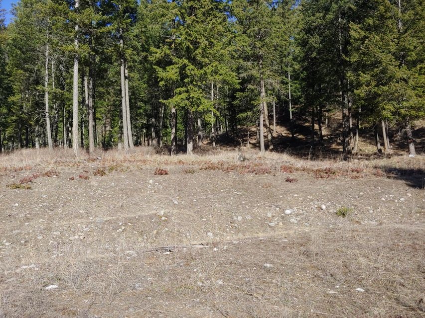865-c Lot 1 Aladdin Road Colville, WA 99114 - Photo 4 of 4