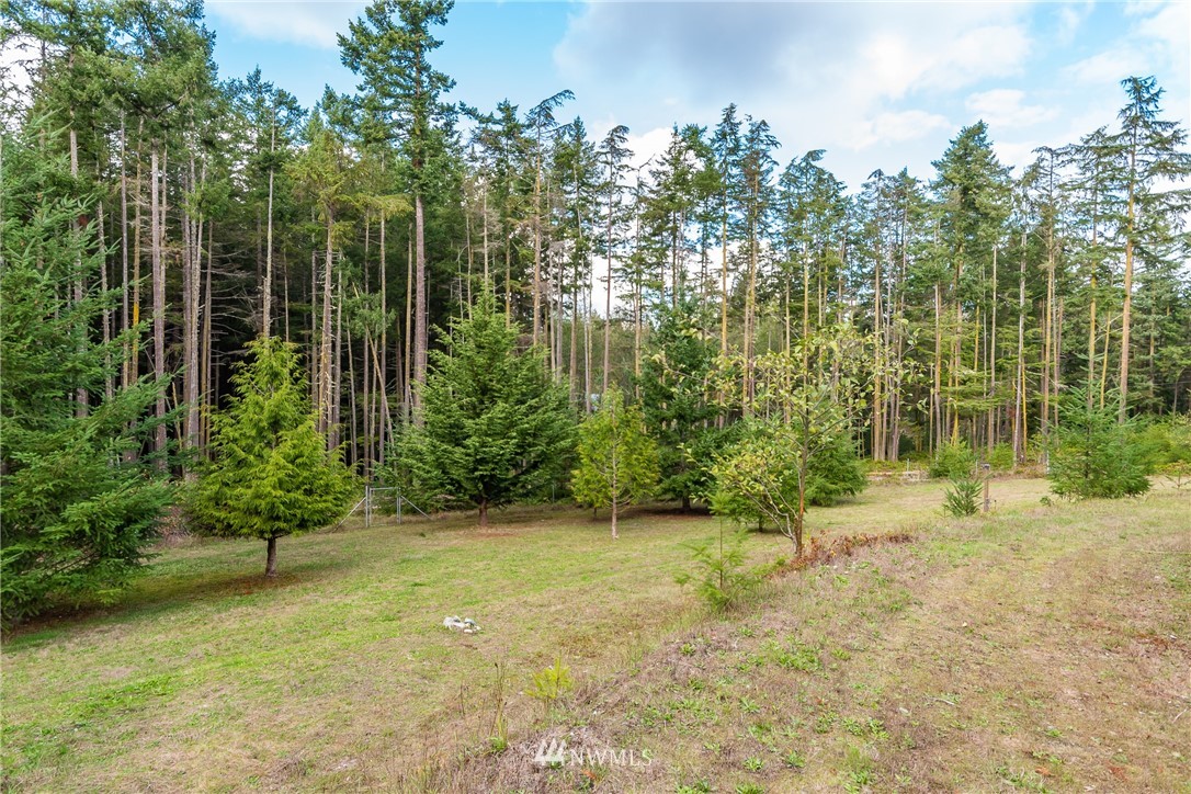 4541 Lyon Road Oak Harbor, WA 98277 - Photo 29 of 34 Gallery Image 29