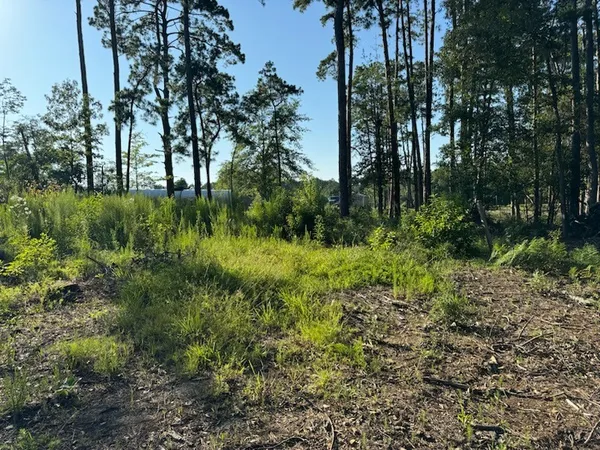 $65,000 | Lt Creekside Harbor, Onalaska, TX 77360