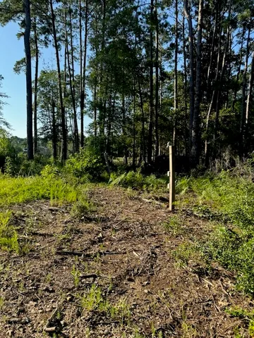 a view of an outdoor space and yard