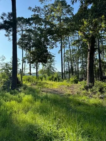 $65,000 | Lt Creekside Harbor, Onalaska, TX 77360