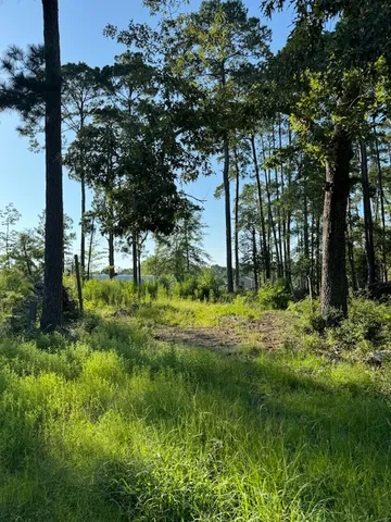 a view of an outdoor space