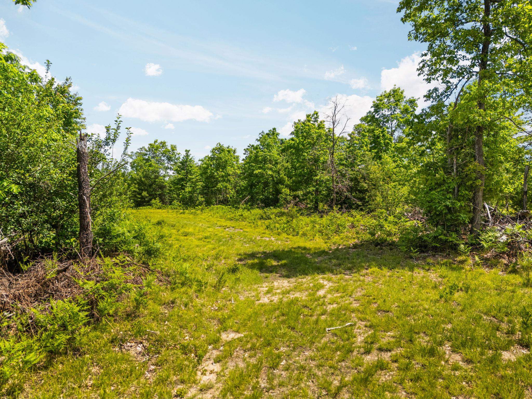 4011 West Forest Road Lake City, MI 49651 - Photo 36 of 36