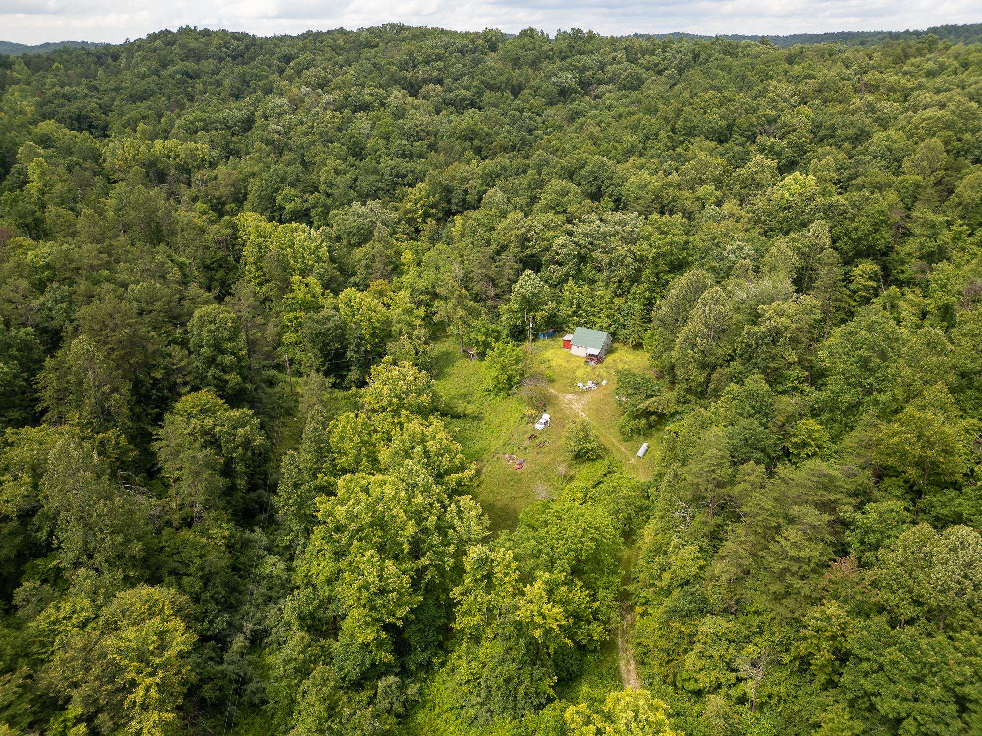 517 Lake Road Fort Gay, WV 25514 - Photo 12 of 21 Gallery Image 12