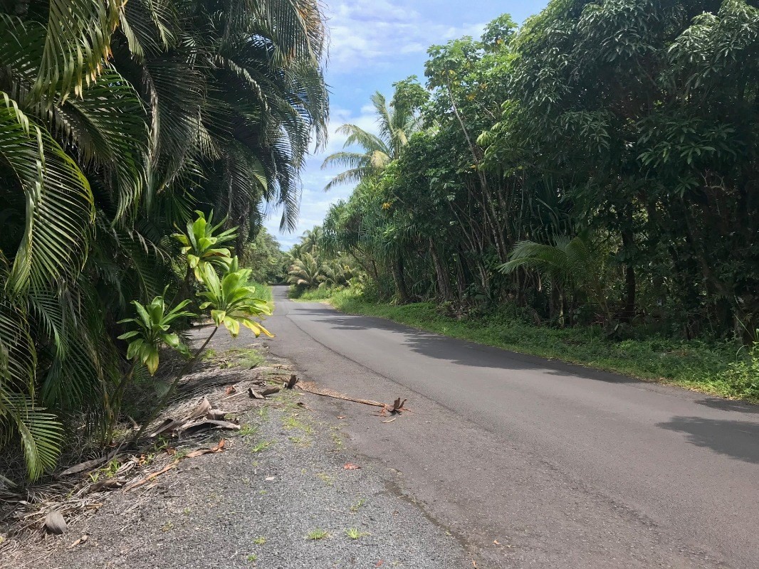 77 Government Beach Road Pahoa, HI 96778 - Photo 3 of 6