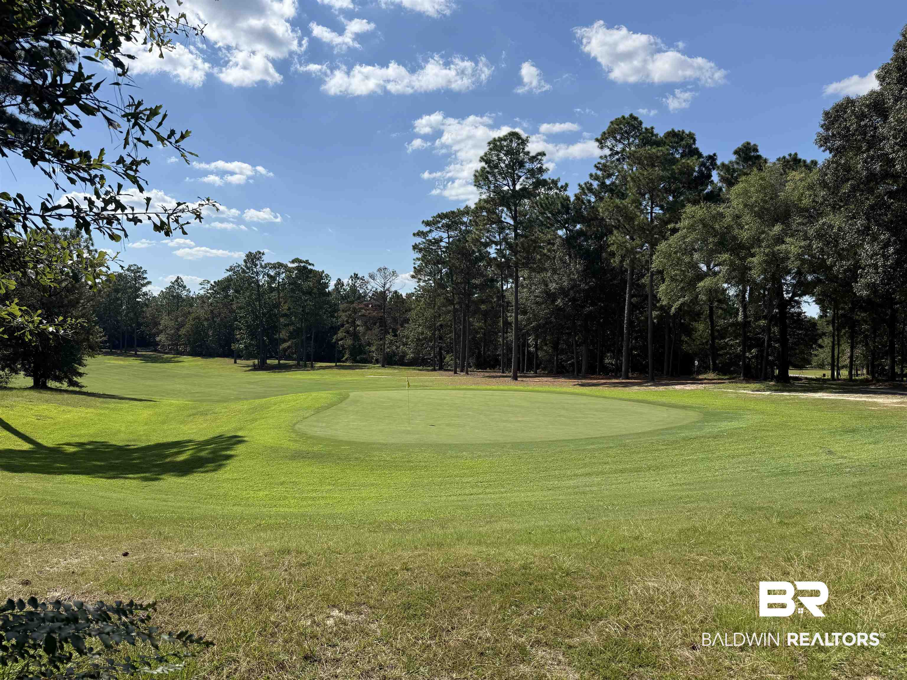 415 Juniper Creek Road Brewton, AL 36426 - Photo 27 of 35 Surrounding community with view of golf course, a yard, and view of wooded area