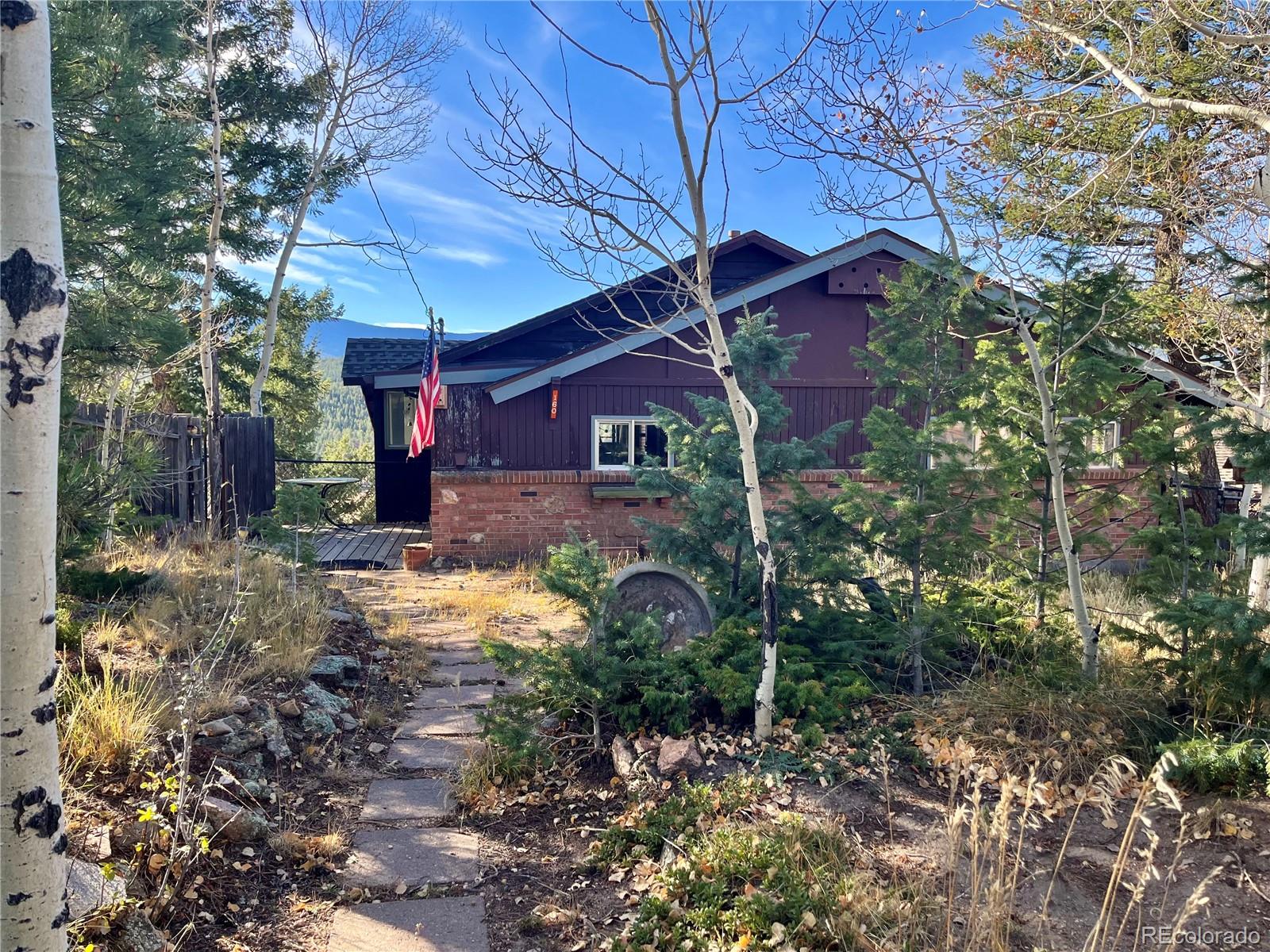 160 South Circle Drive Bailey, CO 80421 - Photo 2 of 26 a view of a backyard of the house