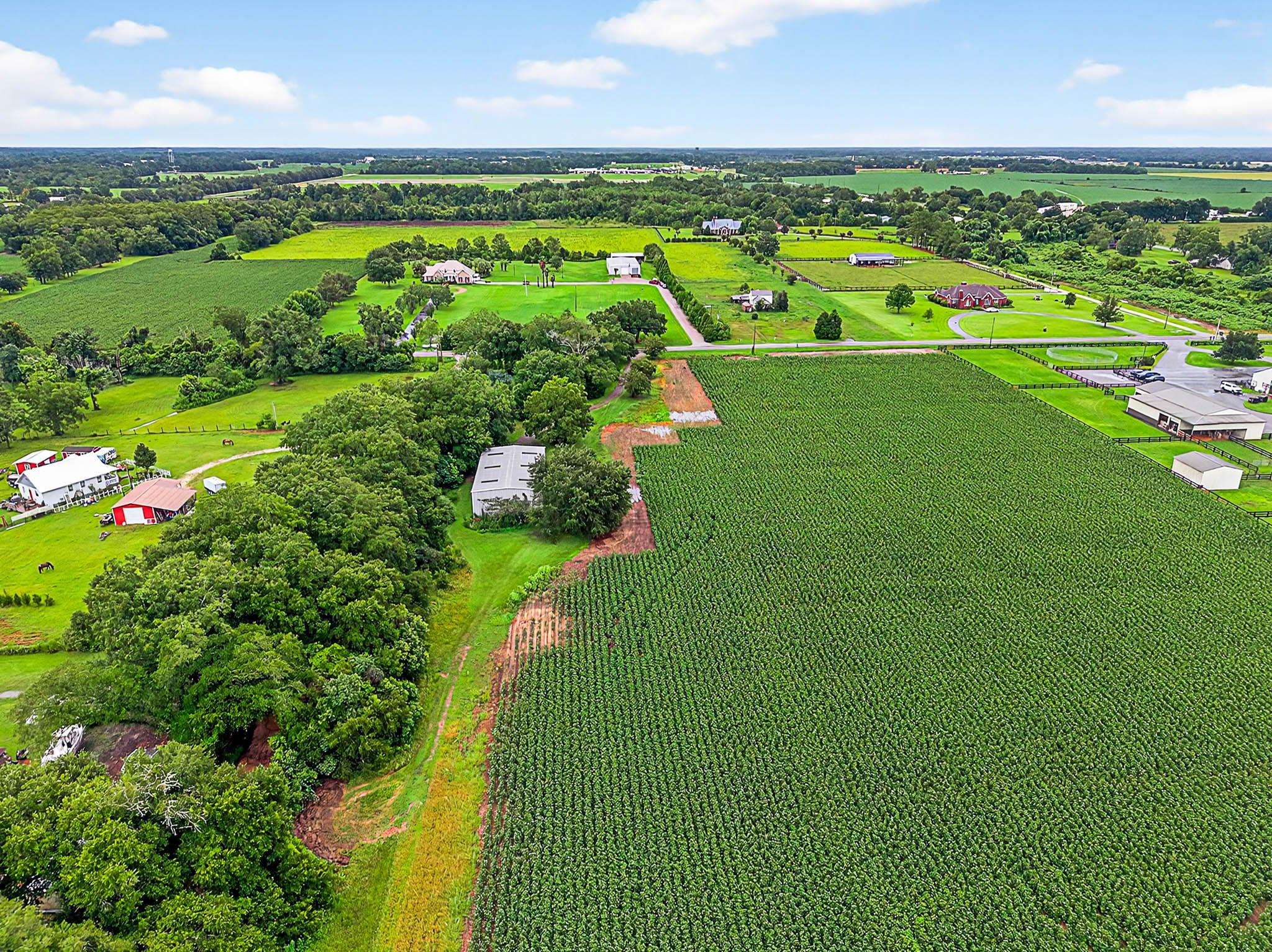 17270 Davis Road Summerdale, AL 36580 - Photo 55 of 97 Aerial View