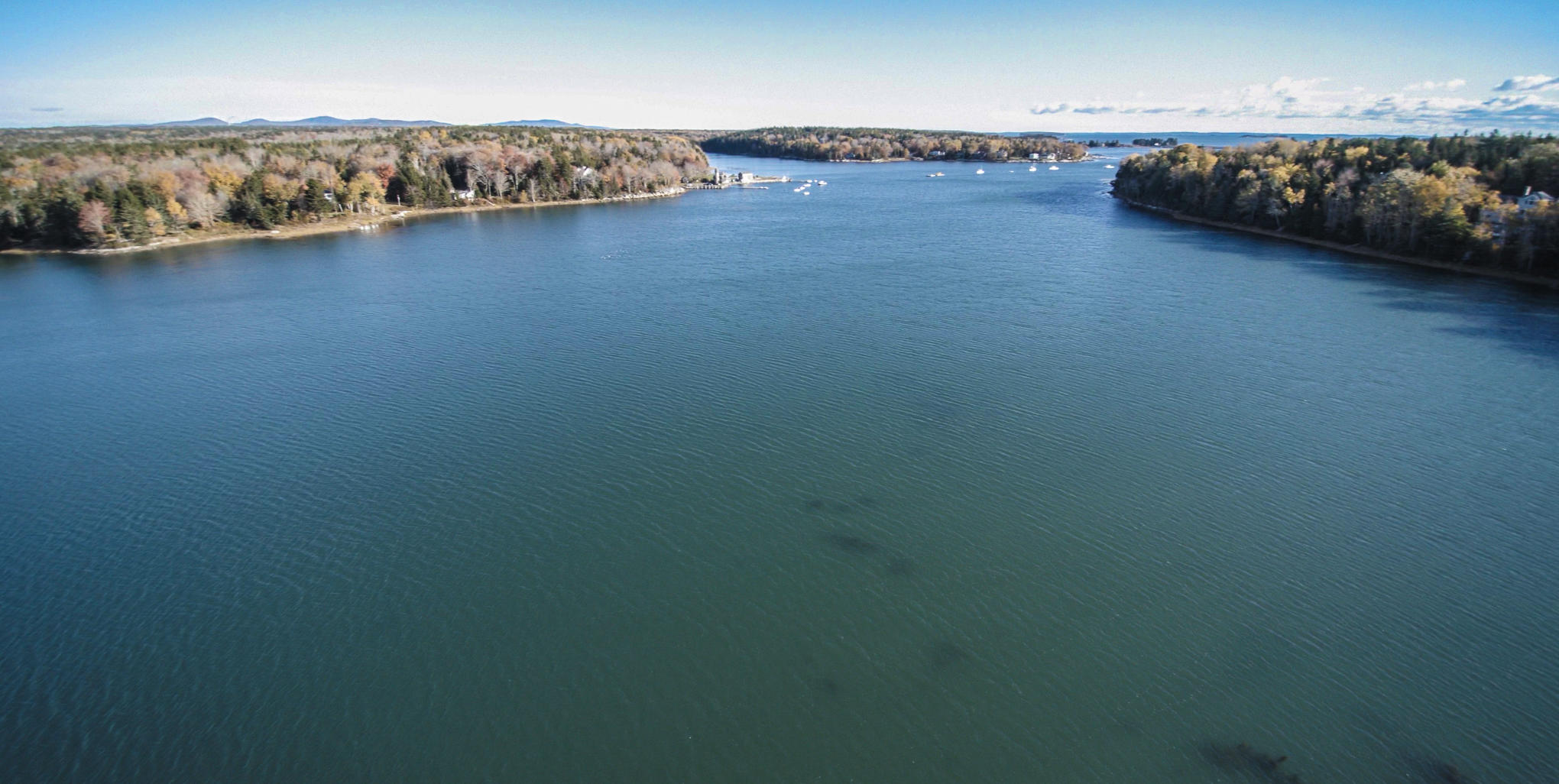 561 Island Avenue St. George, ME 04859 - Photo 10 of 69 561 Island Ave - Rackliff Island - MB54
