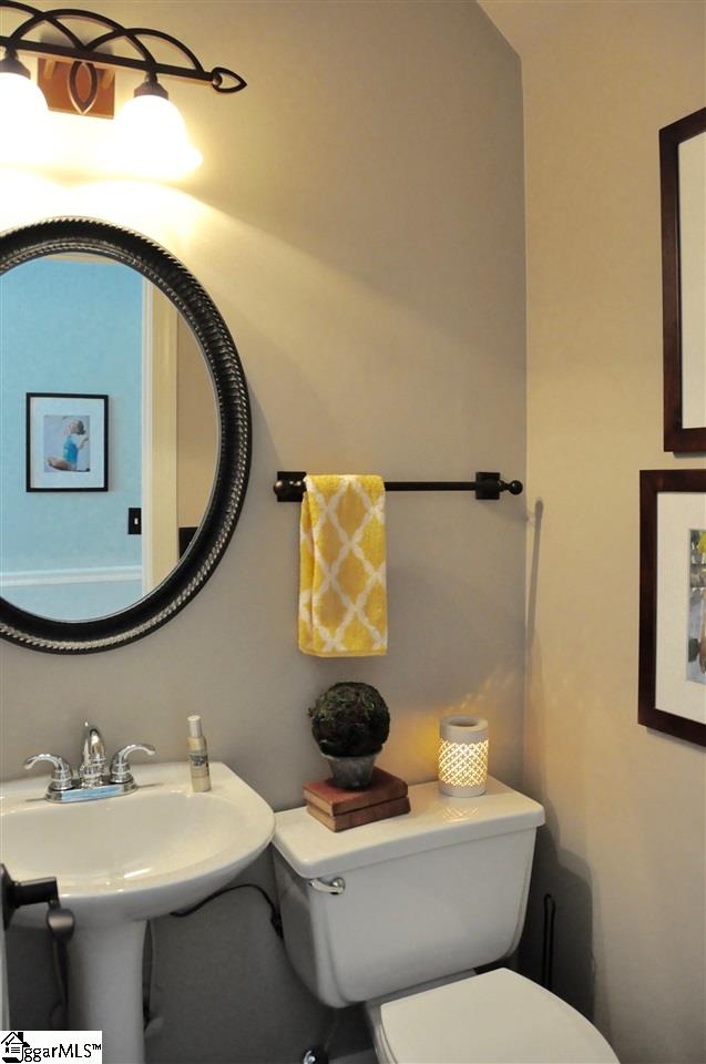 317 Deer Spring Lane Simpsonville, SC 29680 - Photo 21 of 36 Gallery Image 21