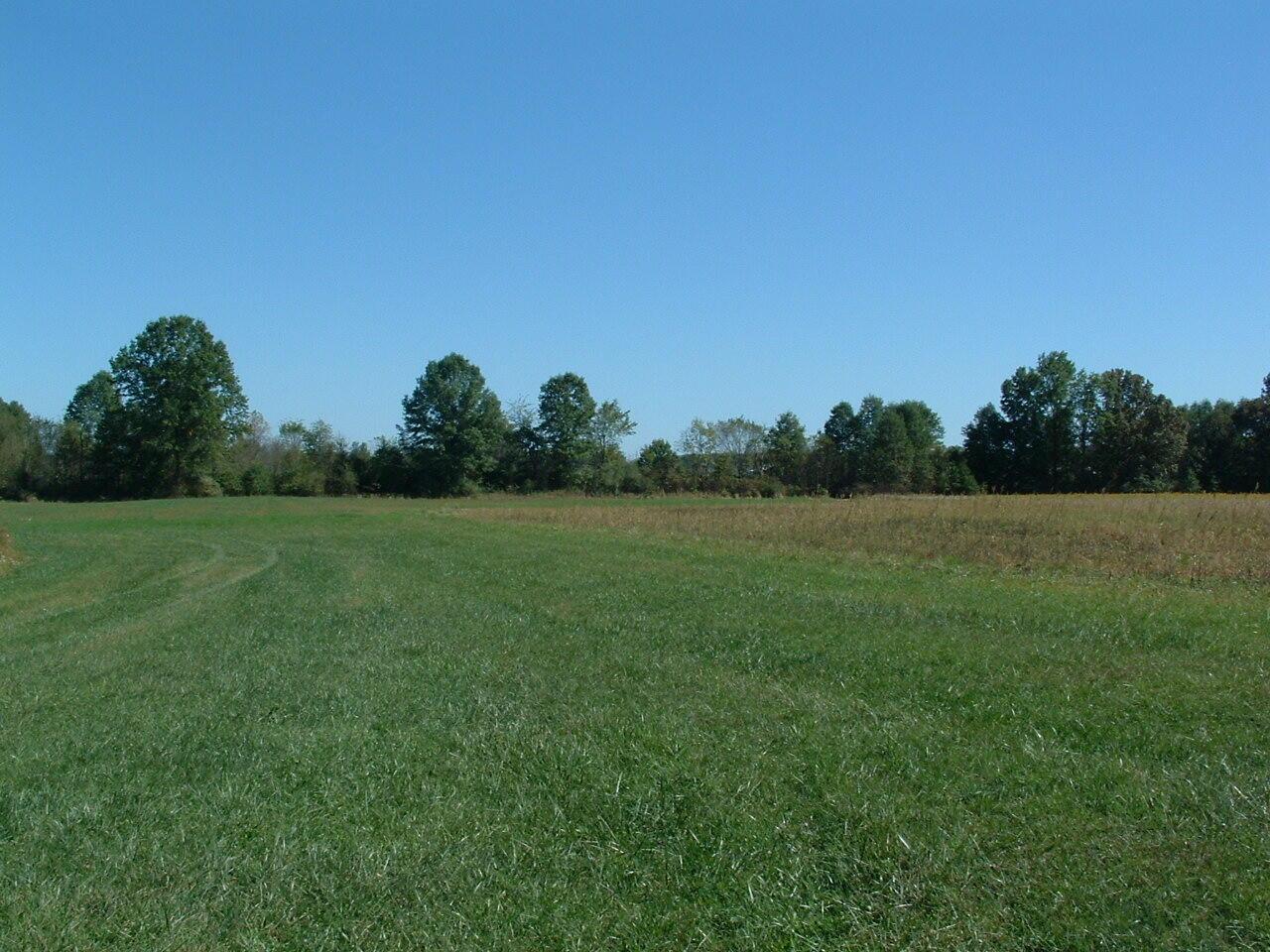 0 Nichols Lane Road Northwest Johnstown, OH 43031 - Photo 9 of 22 DSCF0006