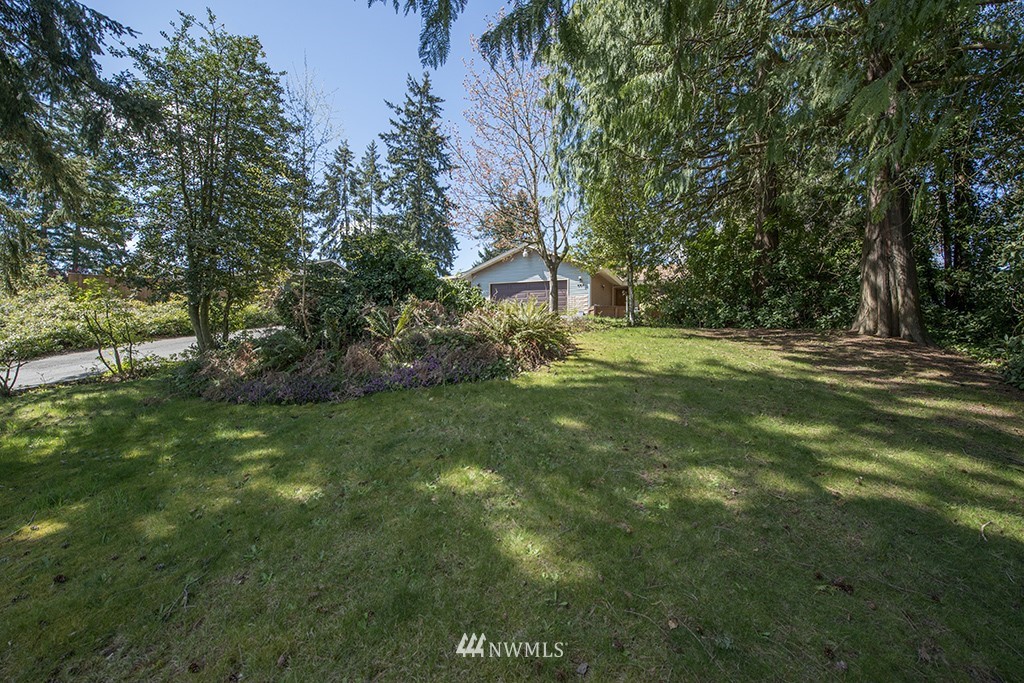 807 Union Street Northeast Renton, WA 98056 - Photo 3 of 38 a view of a big yard with plants and large trees