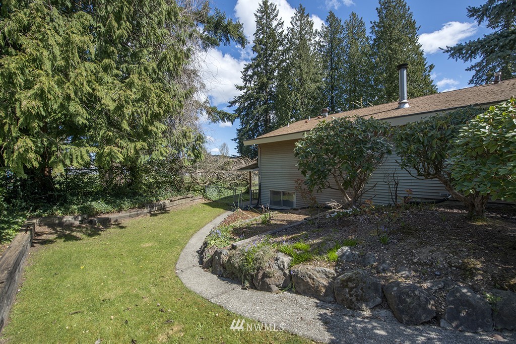 807 Union Street Northeast Renton, WA 98056 - Photo 36 of 38 a view of a backyard with plants and large trees