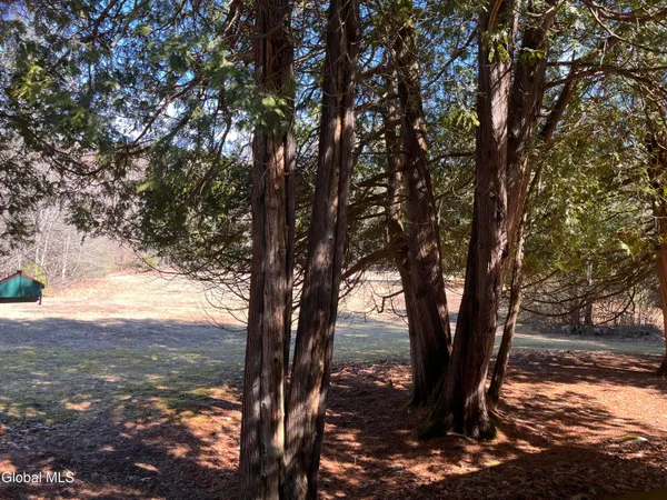 $652,000 | 17 Hawkins Lane, Horicon, NY 12815