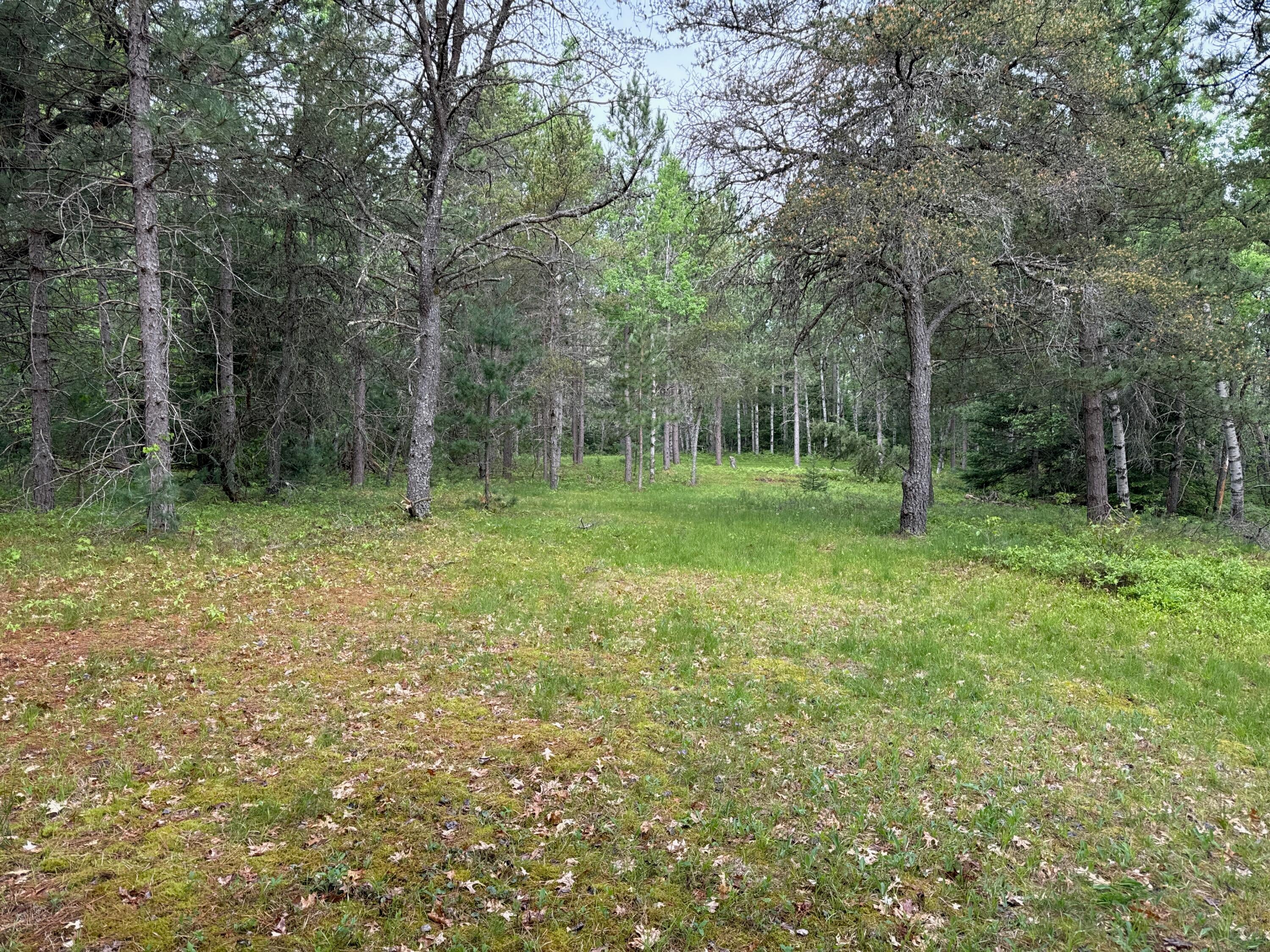 4085 North Red Oak Road Lewiston, MI 49756 - Photo 10 of 40 Gallery Image 10