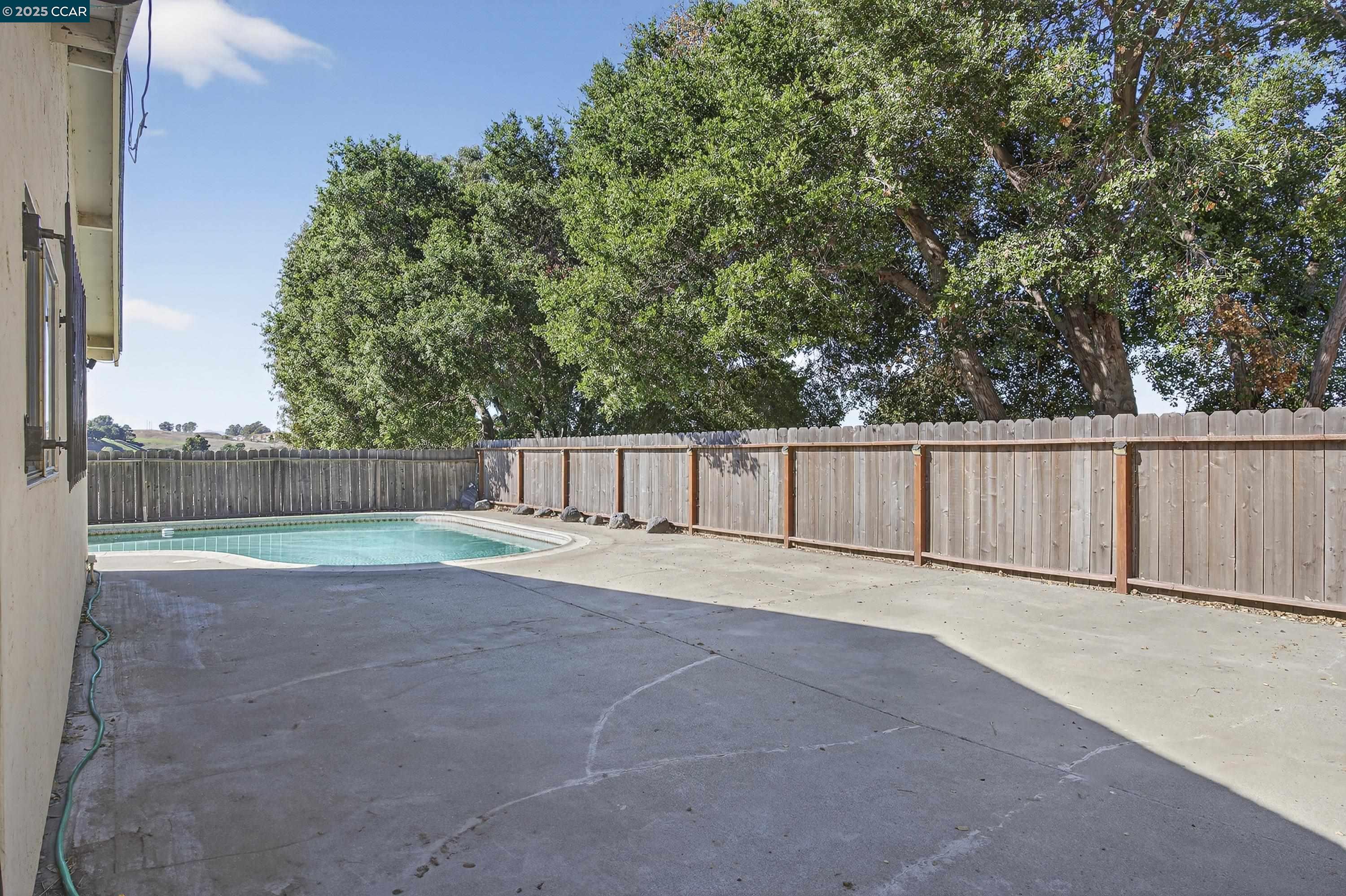 817 Ketch Court Rodeo, CA 94572 - Photo 43 of 45 a view of backyard and tree