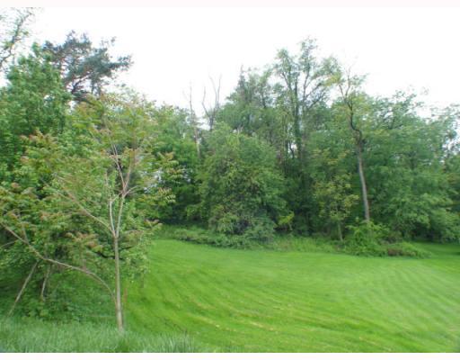 836 Irwin Run Road West Mifflin, PA 15122 - Photo 3 of 18 Land/Lot. Summer Shot Rear Yard