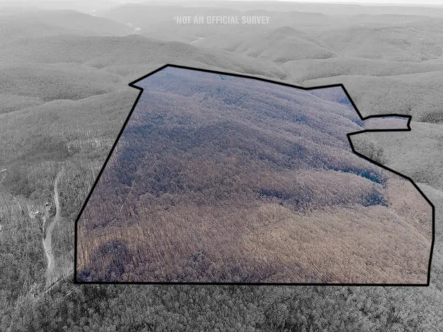 $650,000 | 0 Murrell Bench Road, Belvidere, TN 37306