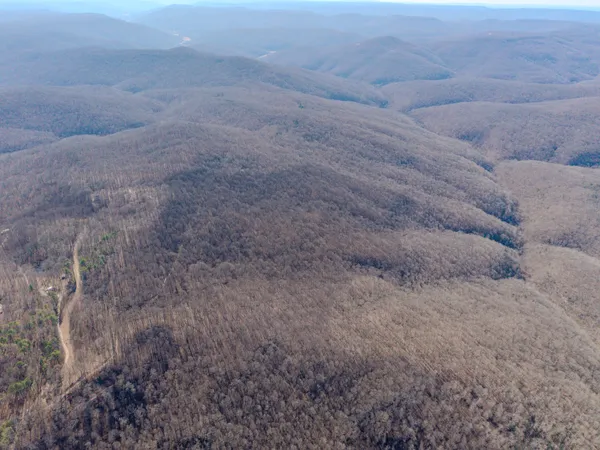 $550,000 | 0 Murrell Bench Road, Belvidere, TN 37306