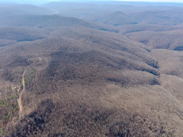 a view of a dry yard