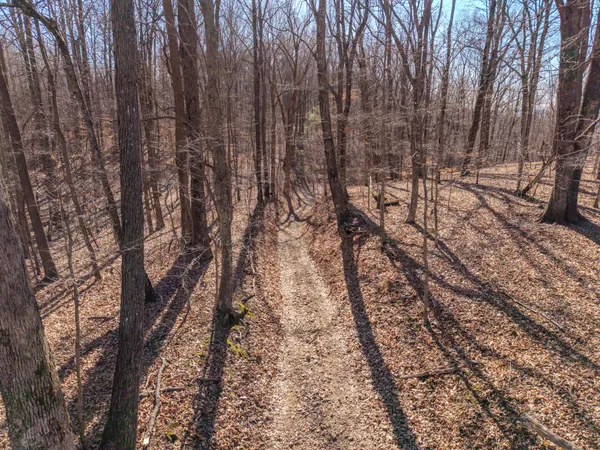 $550,000 | 0 Murrell Bench Road, Belvidere, TN 37306