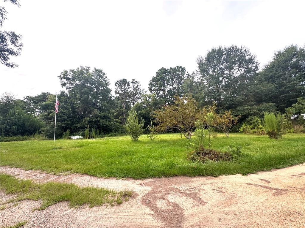 26354 C Jenkins Road Angie, LA 70426 - Photo 18 of 29