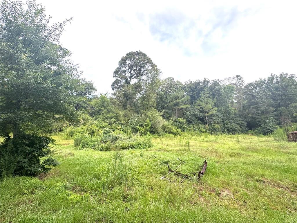 26354 C Jenkins Road Angie, LA 70426 - Photo 19 of 29