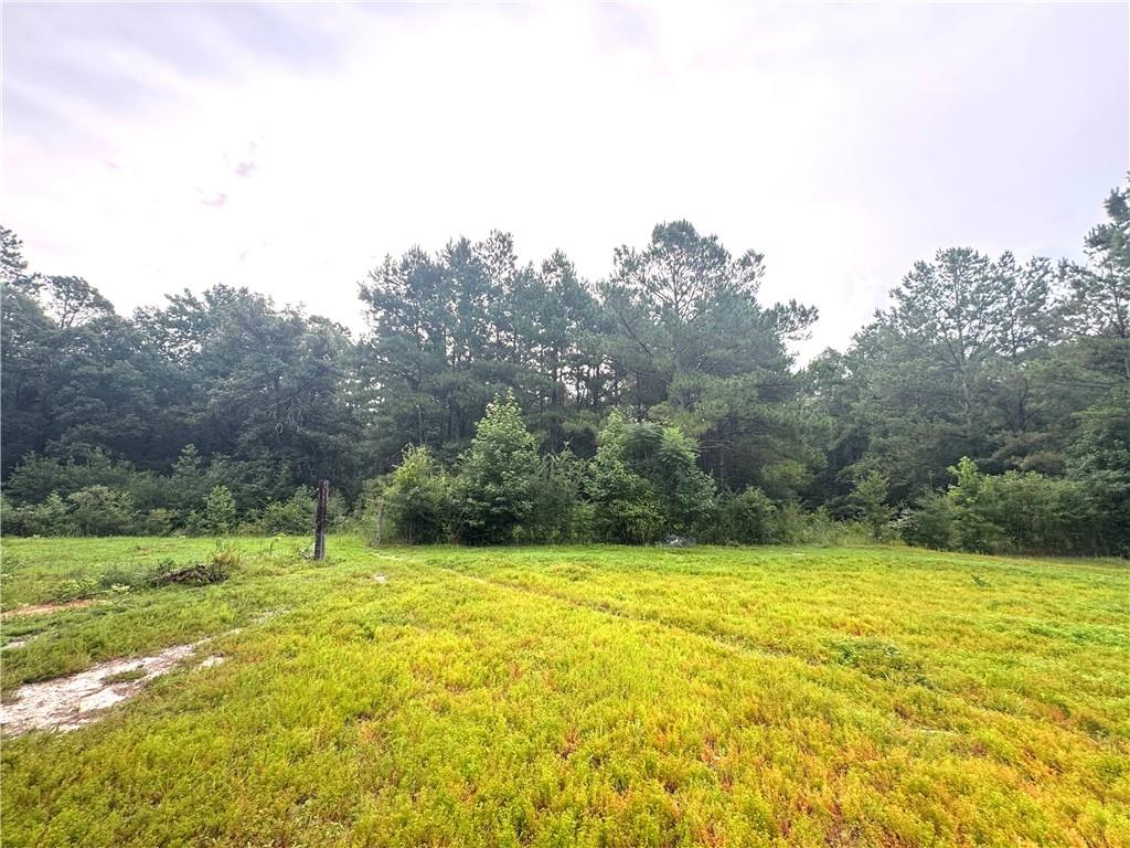 26354 C Jenkins Road Angie, LA 70426 - Photo 23 of 29