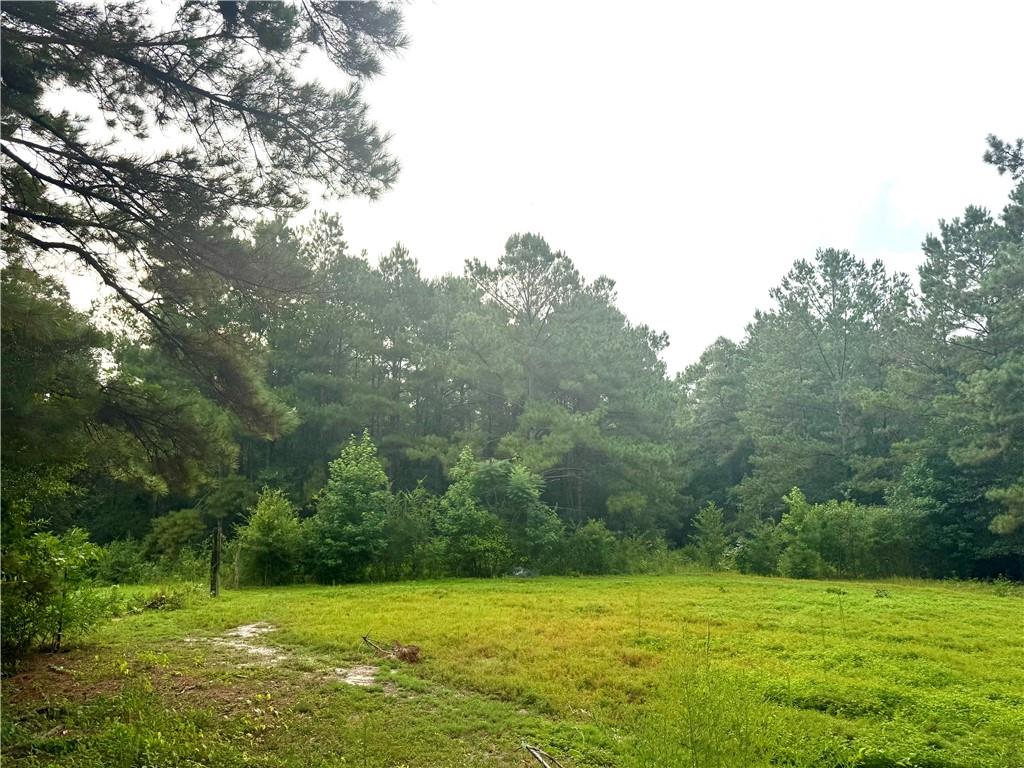 26354 C Jenkins Road Angie, LA 70426 - Photo 28 of 29