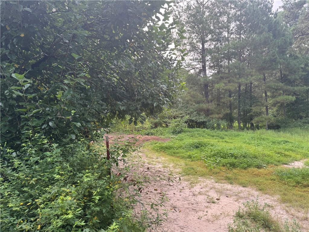 26354 C Jenkins Road Angie, LA 70426 - Photo 29 of 29