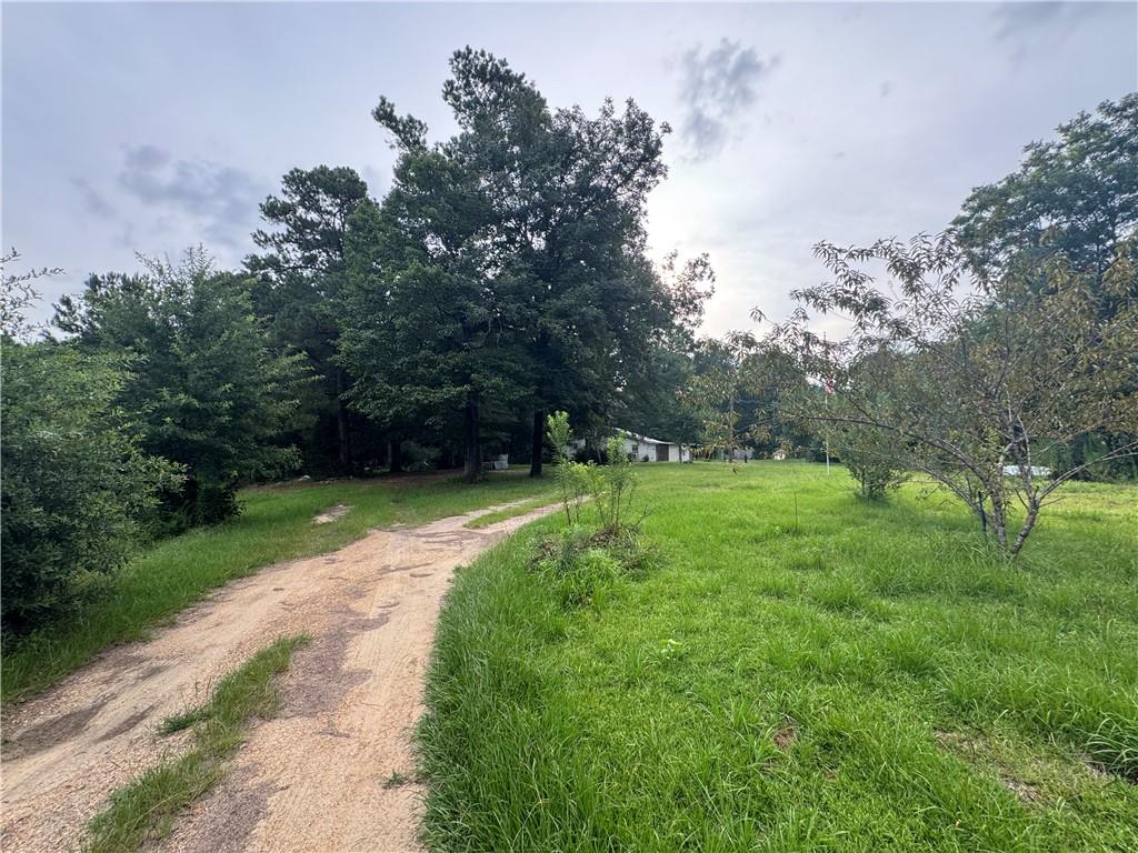 26354 C Jenkins Road Angie, LA 70426 - Photo 3 of 29