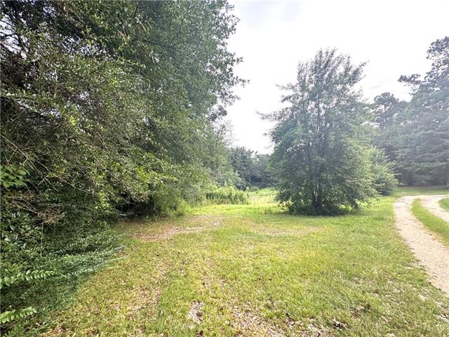 26354 C Jenkins Road Angie, LA 70426 - Photo 8 of 29 Gallery Image 8