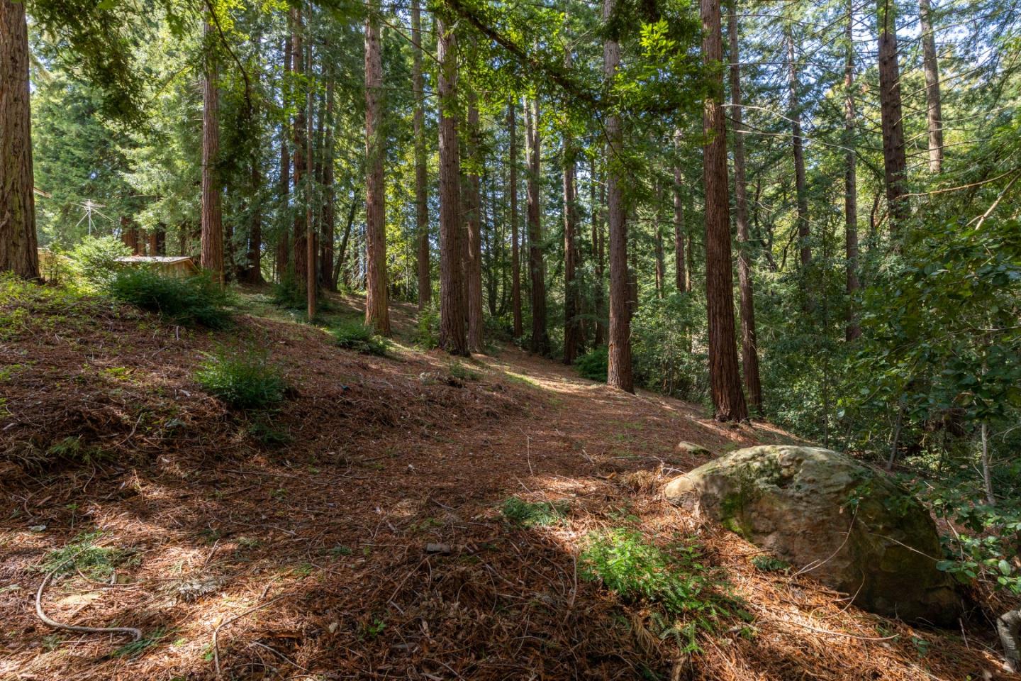 394 Summit Road Watsonville, CA 95076 - Photo 23 of 26 a view of outdoor space with trees all around