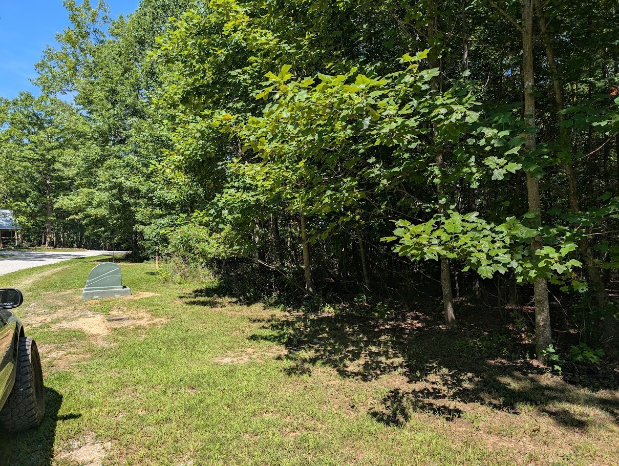 140 Sunset Bluff Monteagle, TN 37356 - Photo 5 of 28