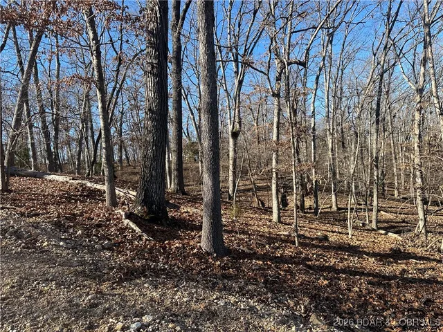 $9,000 | Lot 371 Cornette Cove Lake, Unit 2, Lake Ozark, MO 65049