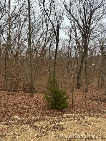 $9,000 | Lot 371 Cornette Cove Lake, Unit 2, Lake Ozark, MO 65049