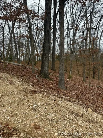 $9,000 | Lot 371 Cornette Cove Lake, Unit 2, Lake Ozark, MO 65049