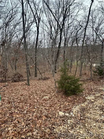 $9,000 | Lot 371 Cornette Cove Lake, Unit 2, Lake Ozark, MO 65049