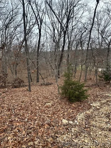 $9,000 | Lot 371 Cornette Cove Lake, Unit 2, Lake Ozark, MO 65049