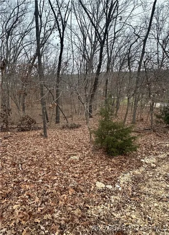 $9,000 | Lot 371 Cornette Cove Lake, Unit 2, Lake Ozark, MO 65049