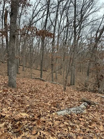 $9,000 | Lot 371 Cornette Cove Lake, Unit 2, Lake Ozark, MO 65049