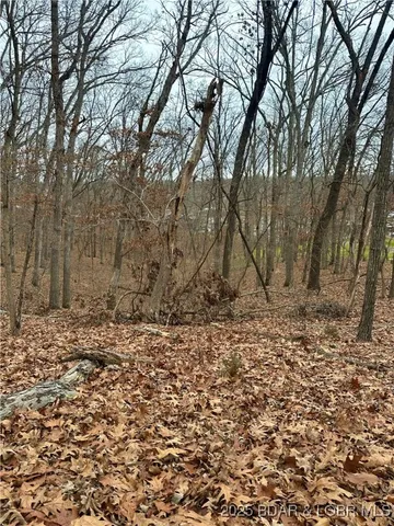 $9,000 | Lot 371 Cornette Cove Lake, Unit 2, Lake Ozark, MO 65049