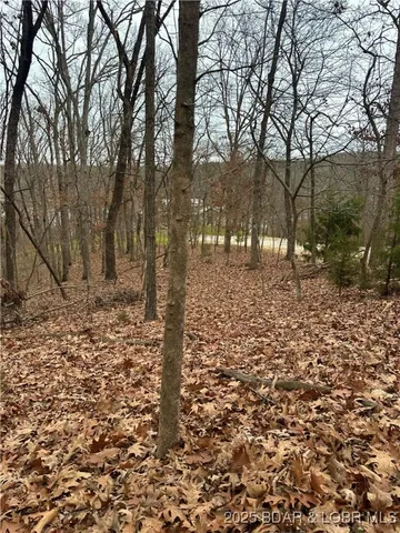 $9,000 | Lot 371 Cornette Cove Lake, Unit 2, Lake Ozark, MO 65049