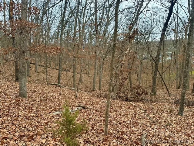 $9,000 | Lot 371 Cornette Cove Lake, Unit 2, Lake Ozark, MO 65049