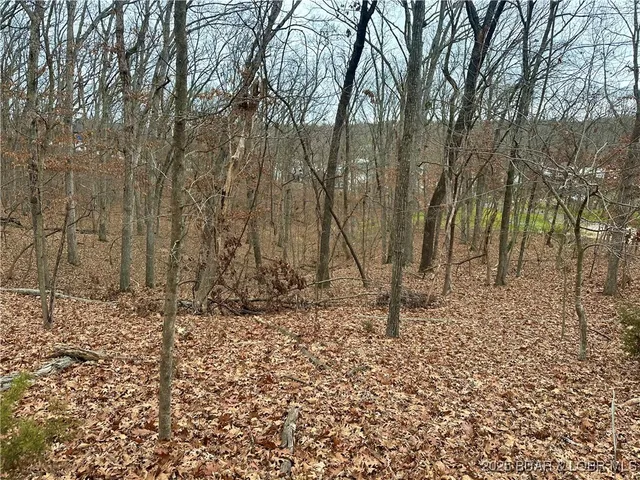 $9,000 | Lot 371 Cornette Cove Lake, Unit 2, Lake Ozark, MO 65049